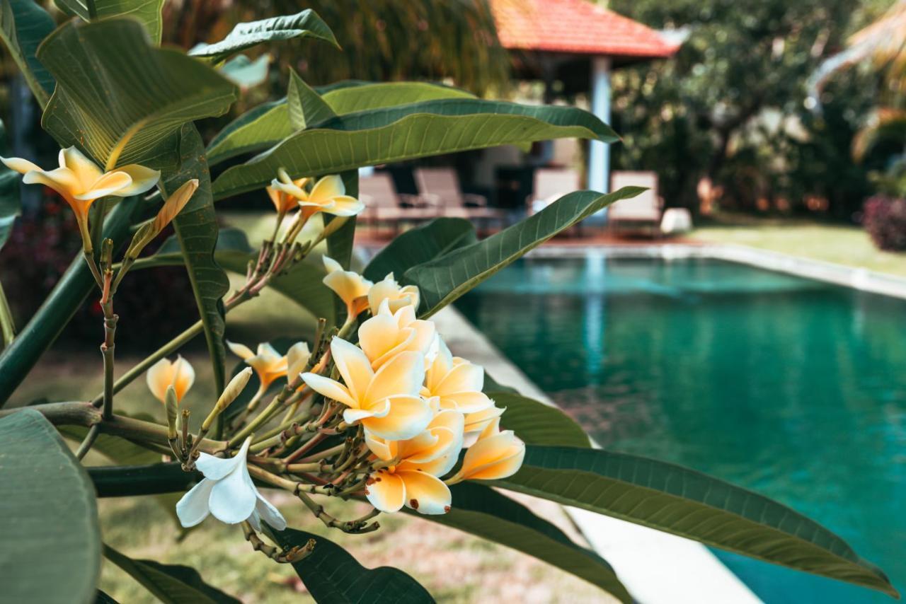 Bali Mynah Villas Resort Jimbaran Buitenkant foto