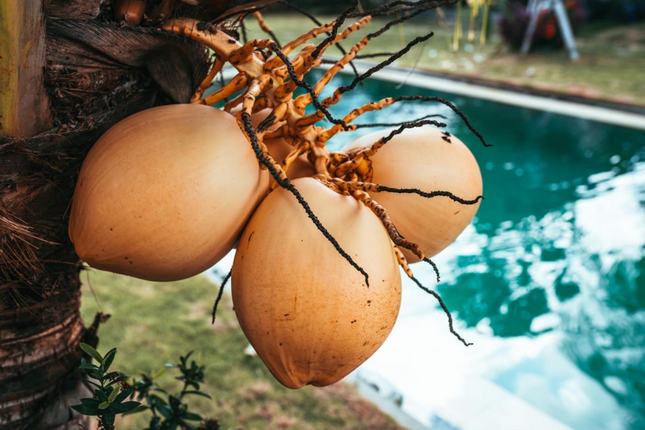 Bali Mynah Villas Resort Jimbaran Buitenkant foto